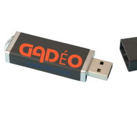 Clé USB personnalisée – 16 Go